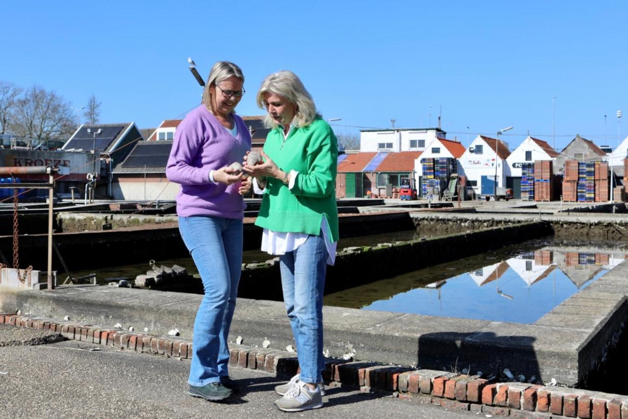 Villa Onderdompeling Wemeldinge Esterno foto